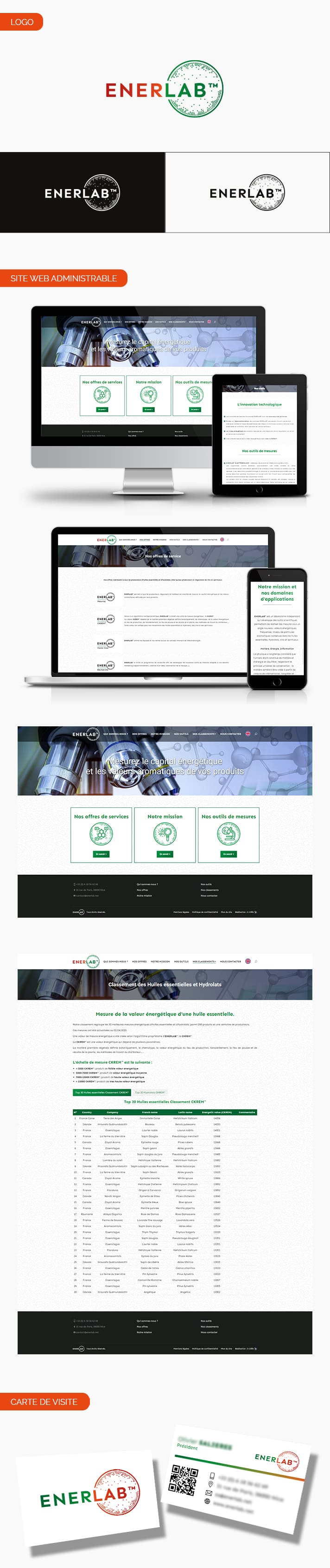 Aperçu logo, carte de visite et site internet de EnerLab