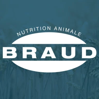 Création du site internet pour BRAUD