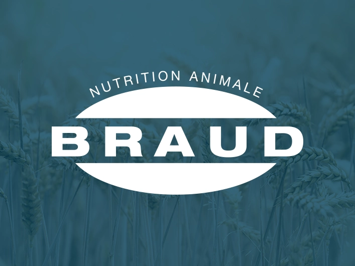 Création du site internet pour BRAUD