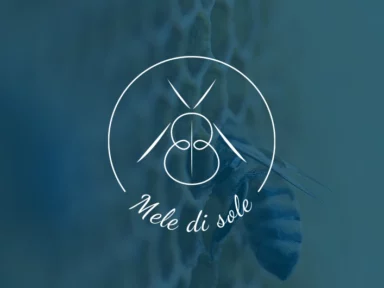 Miniature-realisation-e-dilik-mele-di-sole