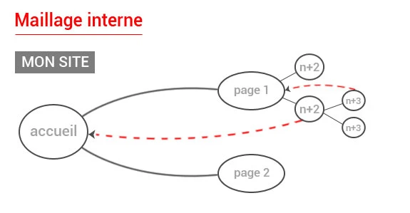 Importance du maillage interne en référencement