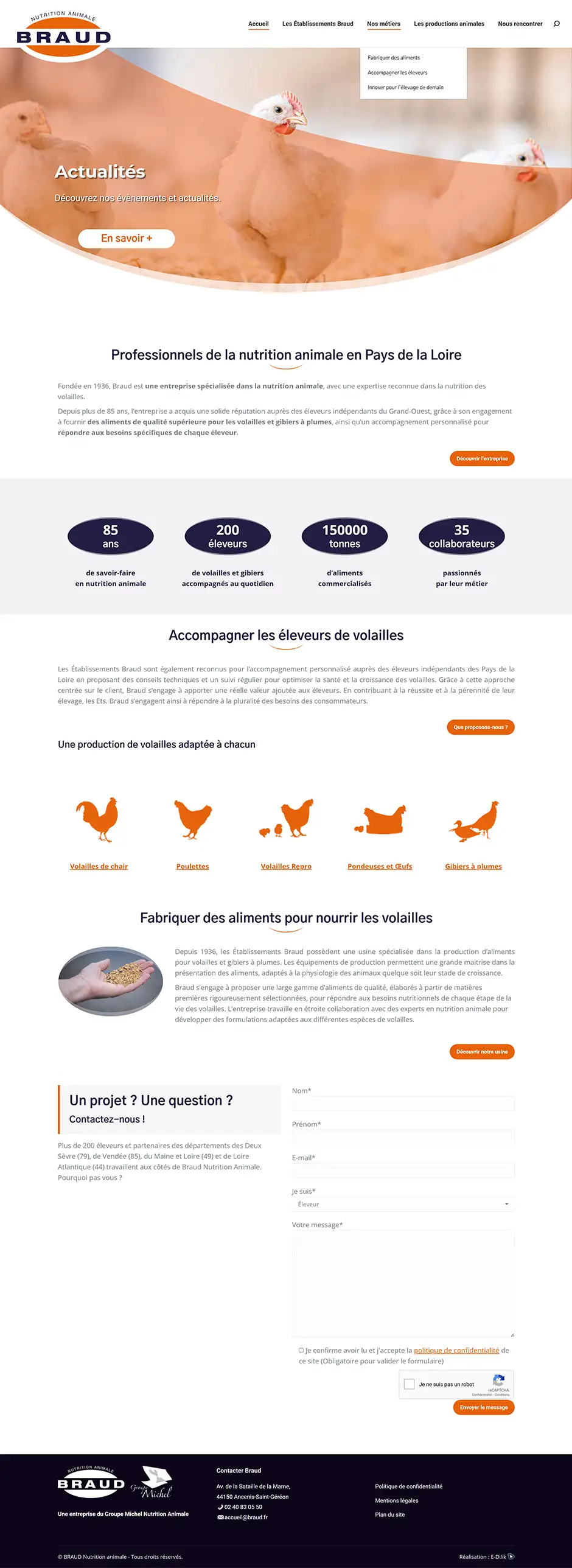 Création site internet Etablissements BRAUD